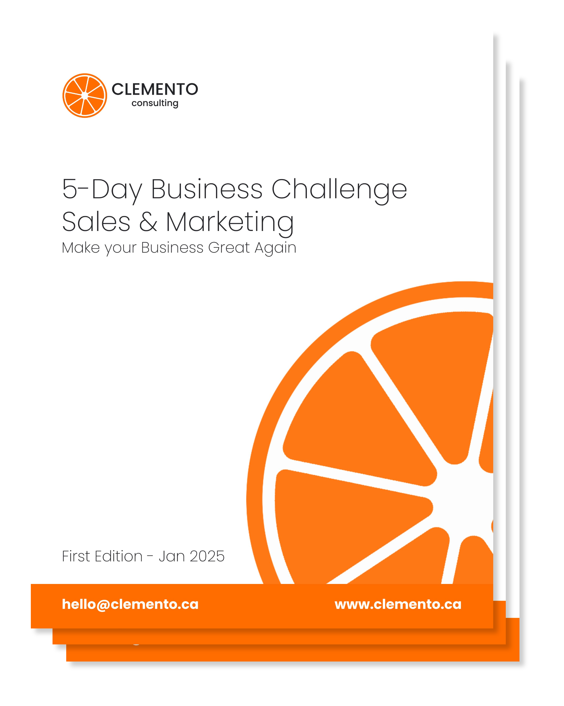 5-Day Business Transformation Challenge PDF Cover